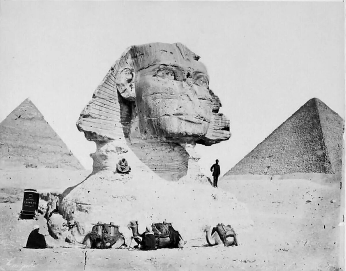 Сфинкс пирамида в Египте. Сфинкс Египет раскопки. Раскопки сфинкса в Гизе. Раскопки статуи сфинкса в Гизе. Царь разгадавший