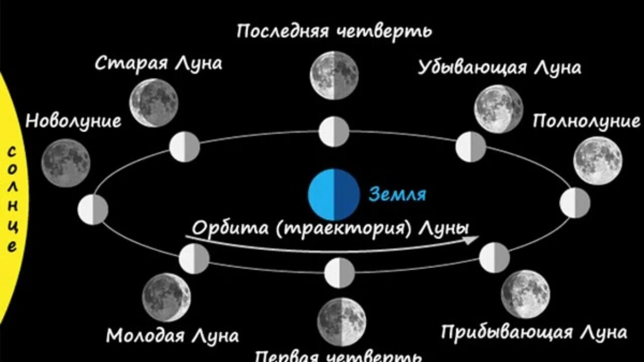 Фазы Луны. Схема лунных фаз. Фазы Луны с названиями. Схема смены фаз Луны. Лунный год начало