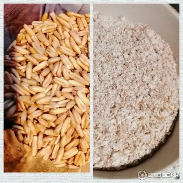 Как варить овсяные зерна