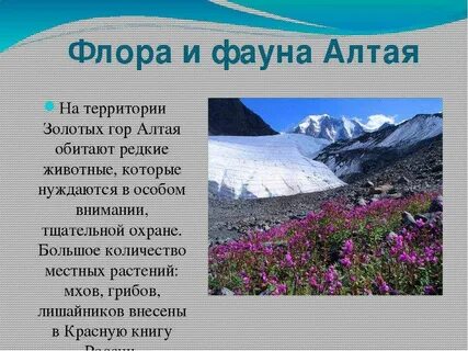 Алтайские горы сообщение 4 класс окружающий