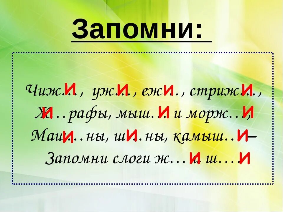 Правило жи ши. Правописание жи ши. Сочетания жи ши. Сочетания жи-ши ча-ща Чу-ЩУ. Слова ча чу примеры