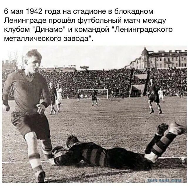 ленинград питер матч