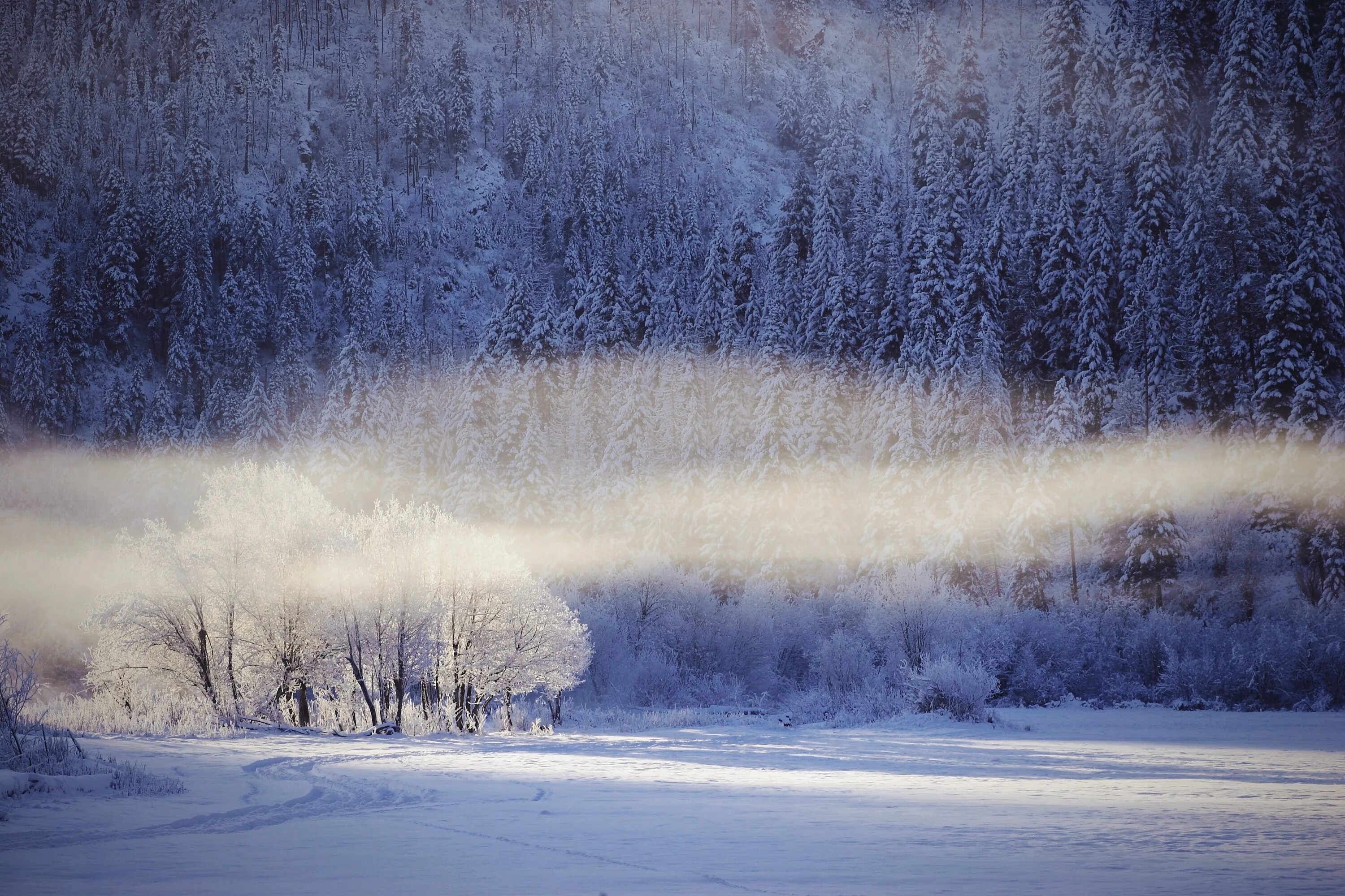 Дымка снега. Морозная вьюга. Волшебная зимняя равнина днем. Метель картинка для детей. Пушистой пеленой.