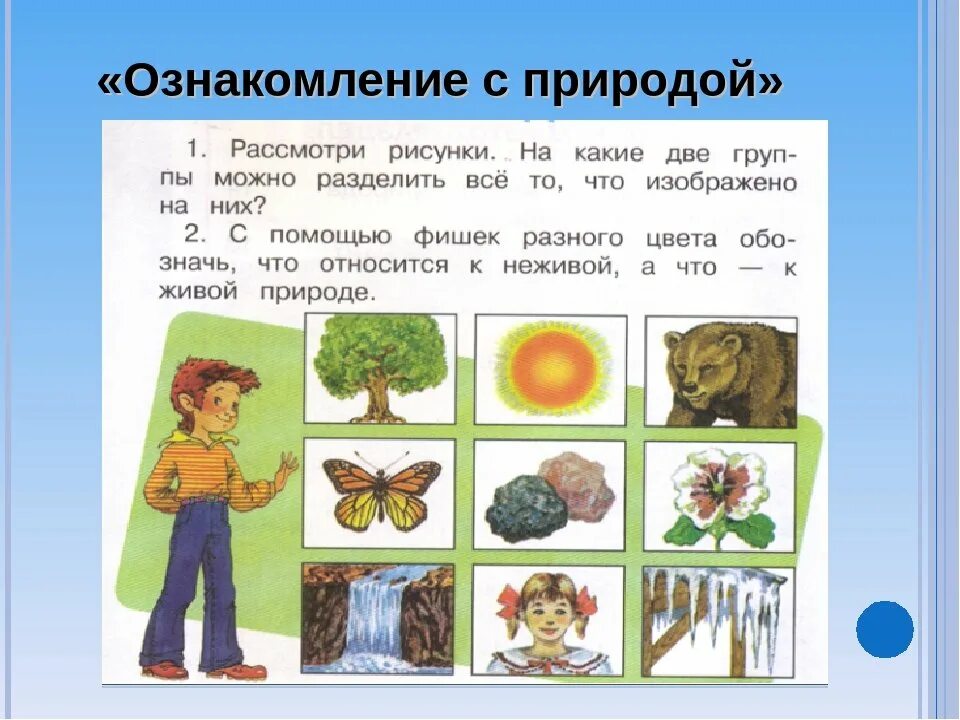 Слова связанные с окружающим миром. Живые и неживые предметы для дошкольников. Живая и неживая приролд. Система живой природы. Интерактивное задание окружающий мир.