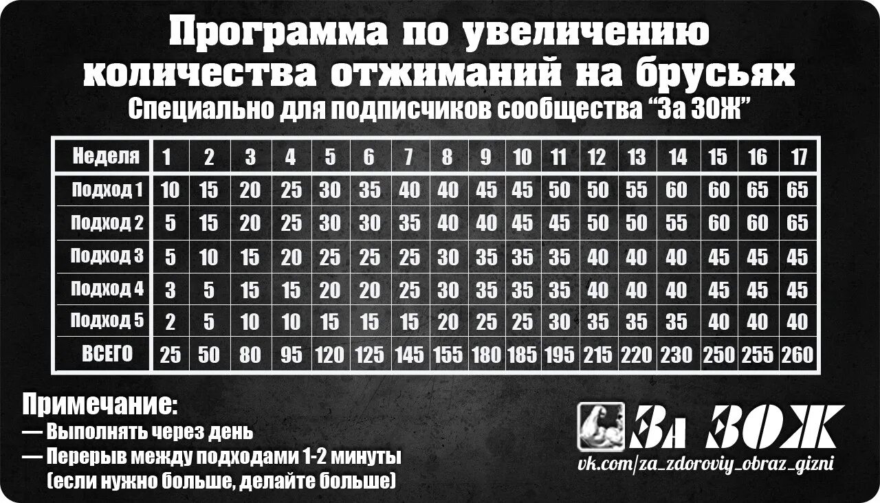 Сколько надо отжиманий. Подходы на брусьях. Подходы на брусьях программа. Программа тренировок отжимания. Программа по увеличению количества отжиманий.