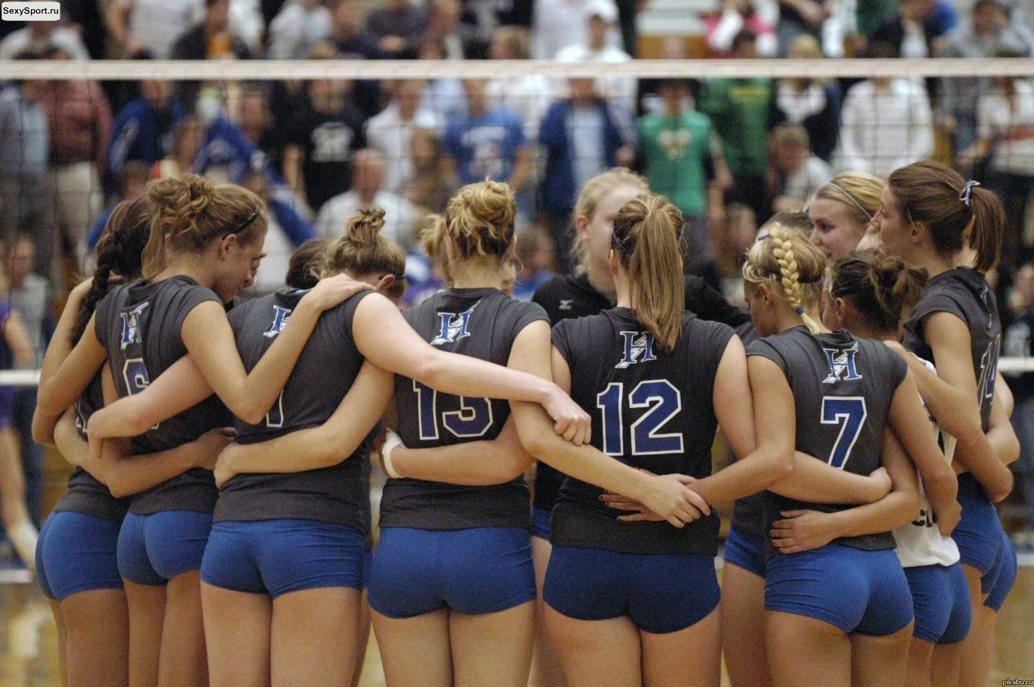 элвуд браун волейбол. Volleyball girls. волейбол девушки. женский волейбол. волейбол девушки.