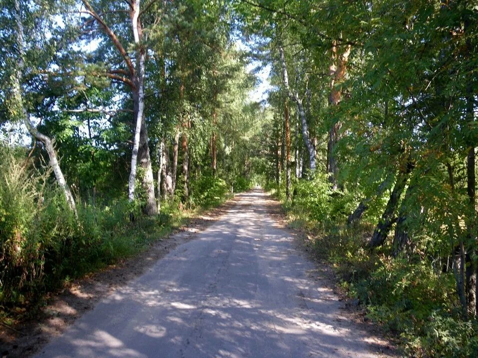 Деревня полушкино фото Дача из 2 домов общей площадью 130 м² на участке 9 соток Земельные участки ИЖС в