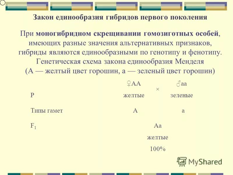 Моногибридное скрещивание гомозиготных особей. Гибриды первого поколения при моногибридном скрещивании. гомозиготными особями при моногибридном скрещивании. гибрид 1 поколения при моногибридном скрещивании гомозиготных особей. закон единообразия 1 поколения.