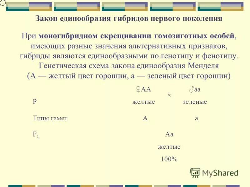 Каковы генотипы гомозиготных родительских форм при моногибридном. Гибриды 1 поколения при моногибридном скрещивании. Гибрид 1 поколения при моногибридном скрещивании гомозиготных особей. Единообразие гибридов при скрещивании. Закон единообразия гибридов первого поколения.