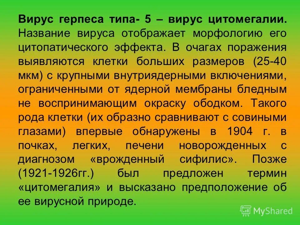 типы вируса герпеса человека. подсемейства и типы вируса герпеса. вирус герпеса человека 1 типа. вирусы герпеса классификация. вирус эпштейна-барр герпес.