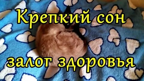 Крепкий сон без снов