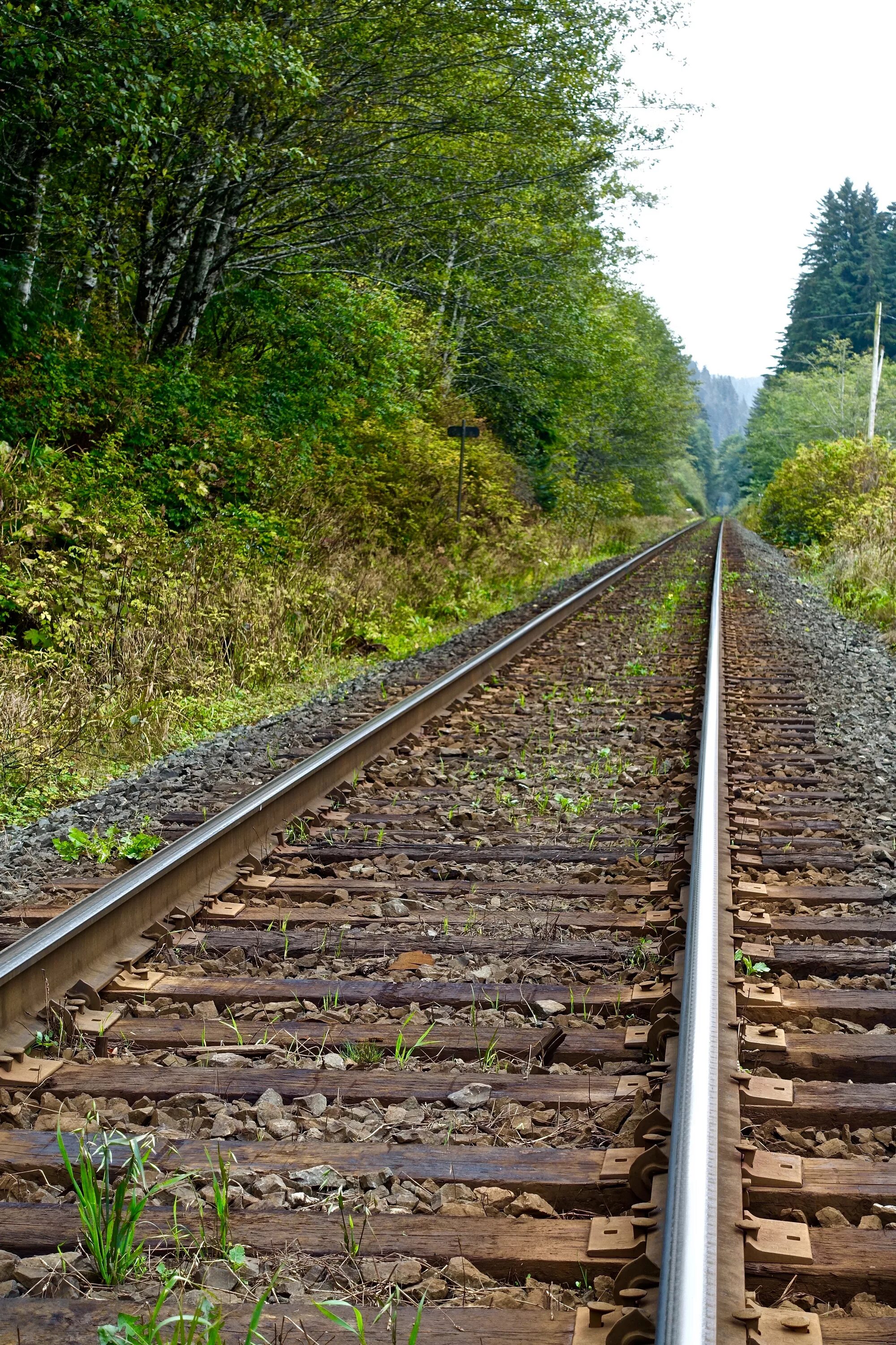 Railway line. Железнодорожные пути. Рельсы железнодорожные. Рельсы поезда.