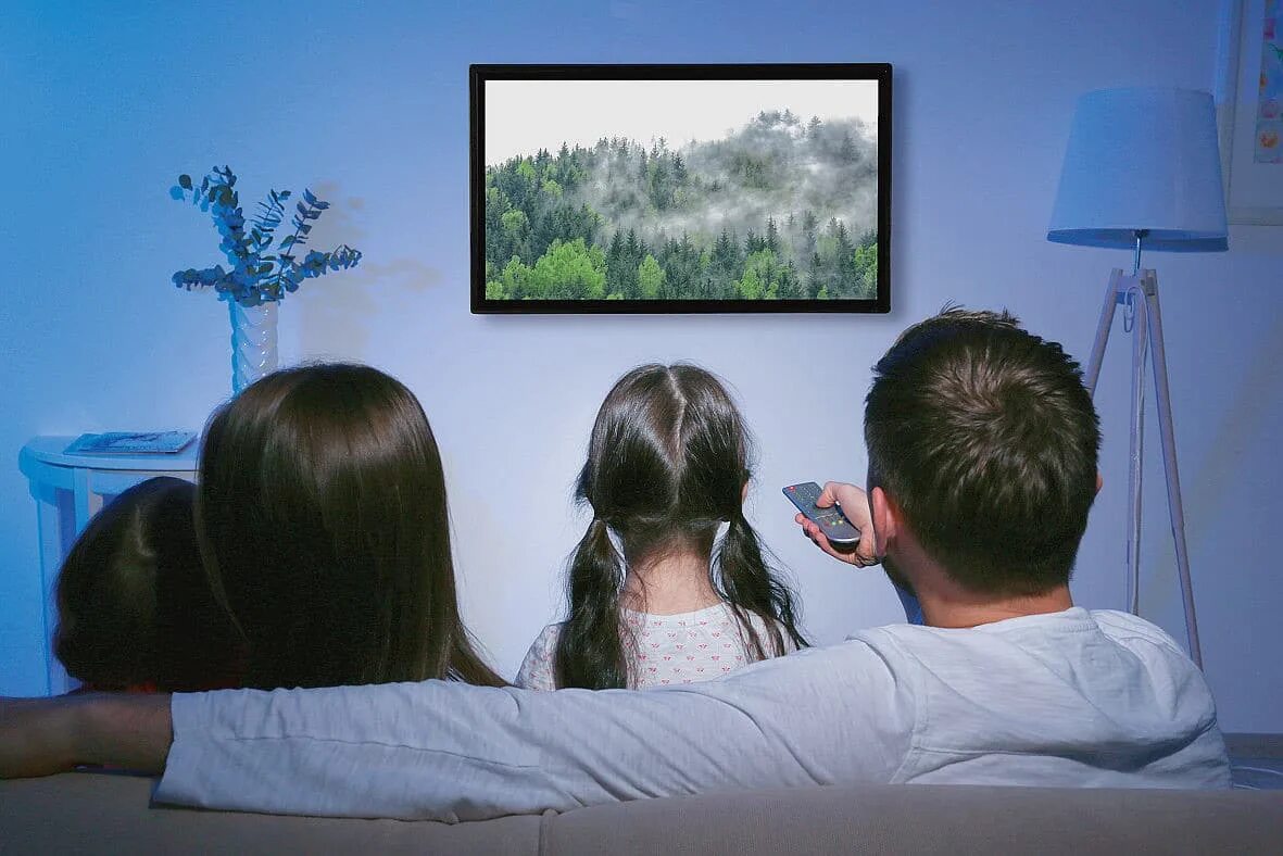Watching their lives. Человек телевизор. Семья у телевизора. Человек перед телевизором. Семья смотрит телевизор.