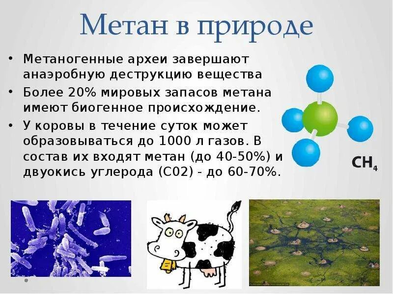 Metan. Метан в природе. Метаногенные архебактерии. Химическое соединение метана. Роль метана