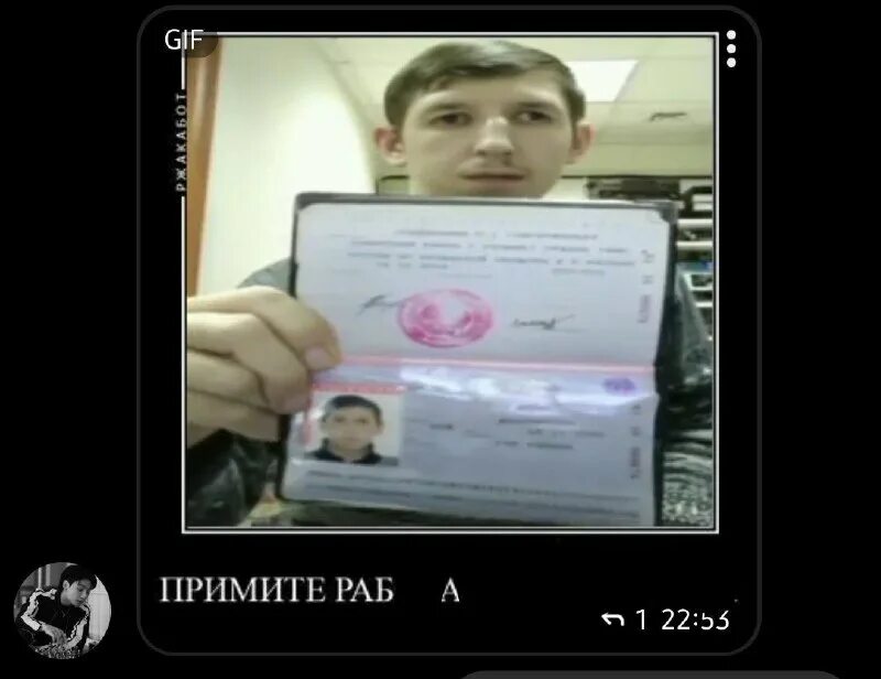 Удаленная работа приколы. Шутки про рекрутеров. Принимай что работает. Совещание реальная альтернатива работе. Услуги мфц.