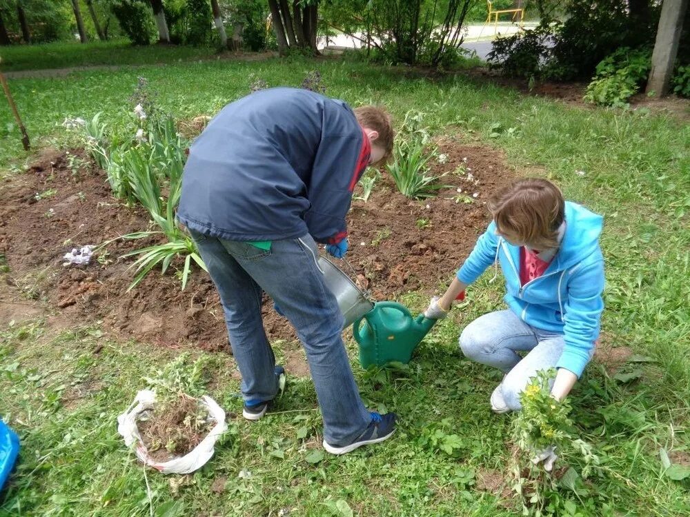 Работа летом для школьников. Клумбы на пришкольном участке. Пришкольный участок картинки. Труд на пришкольной территории. Дети на пришкольном участке.