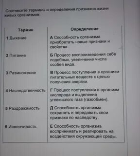 Соотнесите понятия и определения привычка