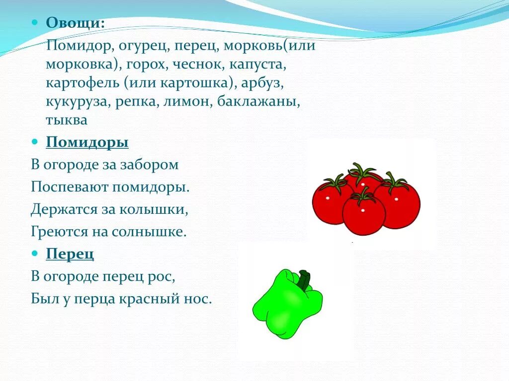 Загадка про помидор. Загадка про помидор для детей. Стих про помидор. Томат загадка. Песни сектор газа помидоры