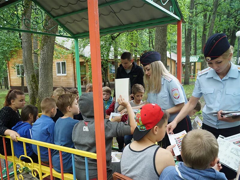 Лагерь Сокол Белгород. Лагерь Сокол Белгород Сосновка. Лагерь Сокол Калужская область. Лагерь Сокол Коломна. В какие лагеря отправляют детей из белгорода