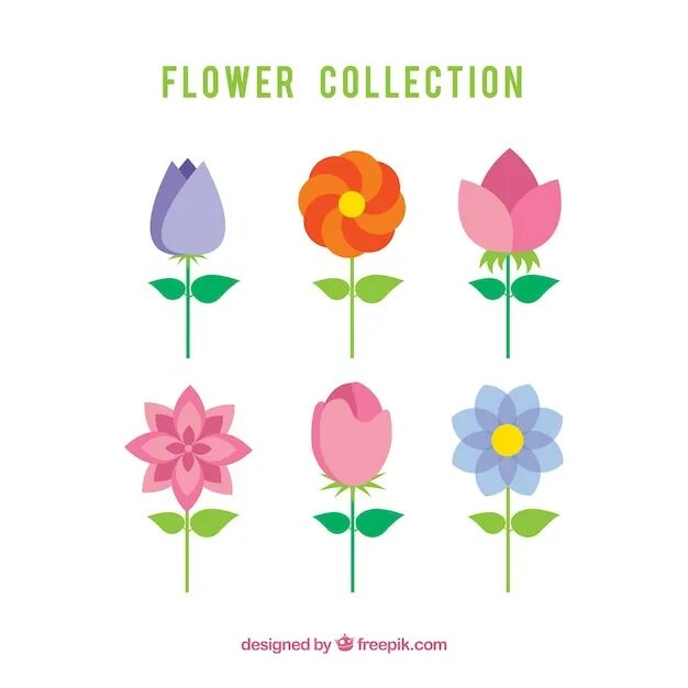 Flat flower. Цветы в стиле flat. цветы флэт. цветы картинки в стиле флэт. роза в стиле флэт.