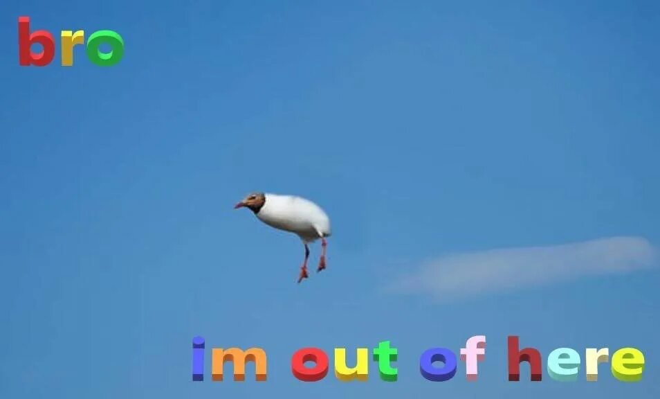 Be out of here. Im out meme. im out. im here meme. im outta here steam.