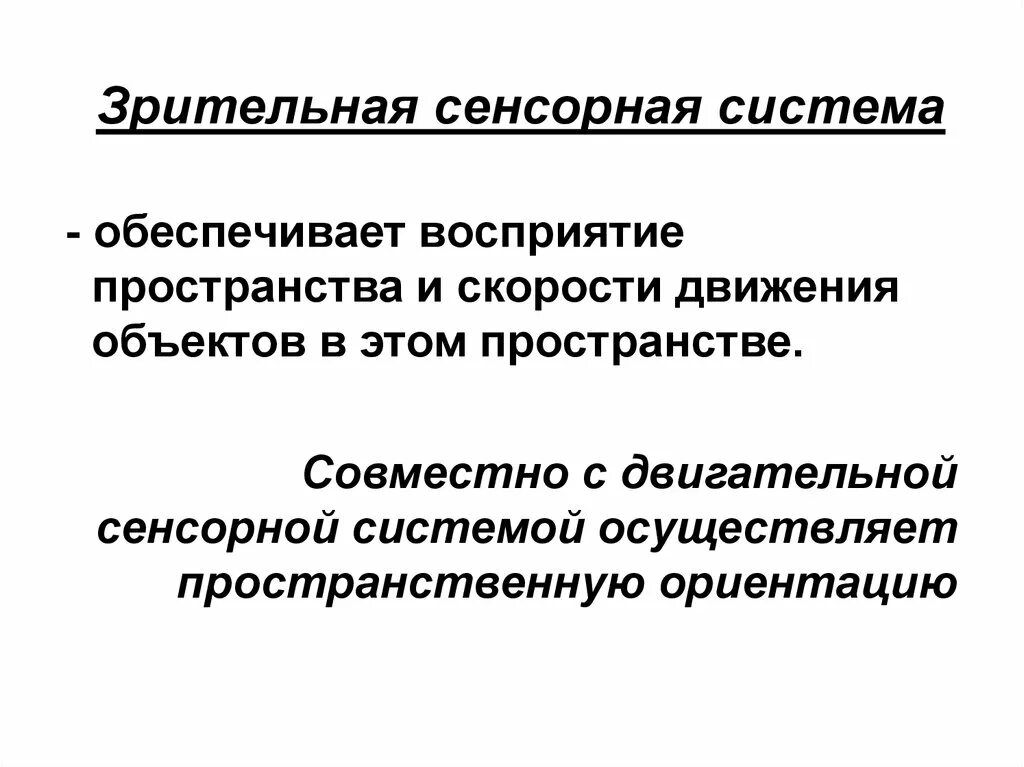 Зрительная сенсорная система. Особенности зрительной сенсорной системы. Характеристика зрительной сенсорной системы. Зрительная сенсорная система физиология.