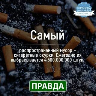 Канал факты