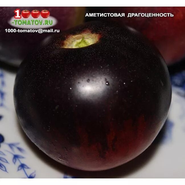 Томаты аметистовая драгоценность отзывы фото. Помидоры аметистовая драгоценность. сорт томата аметистовая драгоценность. томат аметистовая драгоценность производитель. томат аметистовая драгоценность характеристика.