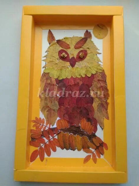 Сова из листьев аппликация. Сова из гербария. сова из втулки.