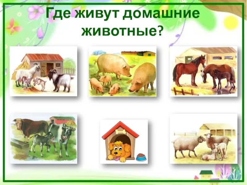Где живет ст