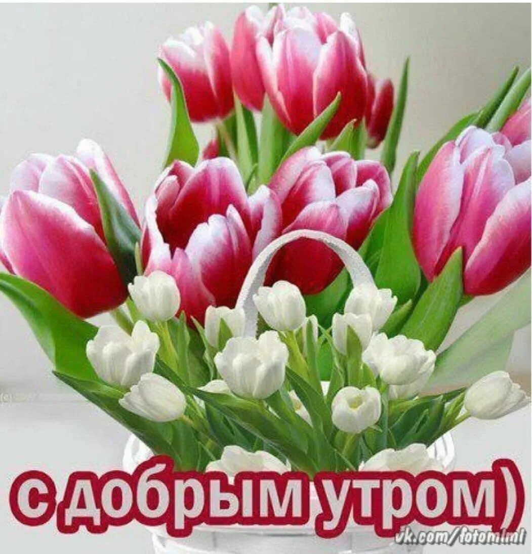 Доброго весеннего дня четверга