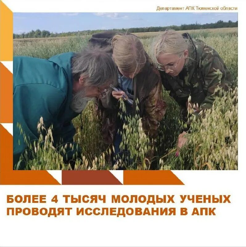 Тюменский агропромышленный комплекс. Департамент хозяйства тюменской области. Тюменский агропромышленный комплекс. Ниисх северного зауралья тюмень. Тюменский агропромышленный комплекс.