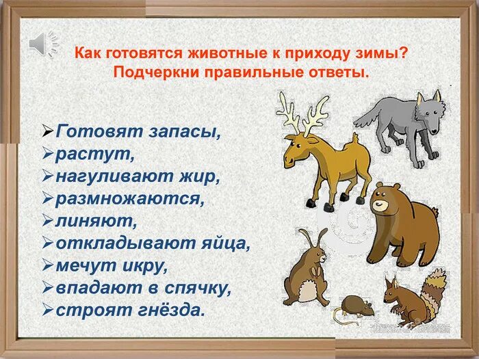 Как животные определяют время. Как животные готовятся к зиме. как дикие животные готовятся к зиме. животные зимой задания. как животное готовится к зиме.