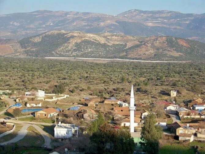 Hassa фото. Hassa фото. Мечеть кючук хасан ханья. Hassa tayoq png. Hassa.