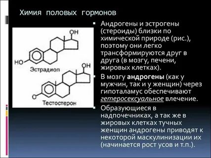 Выделяют химически активные вещества гормоны