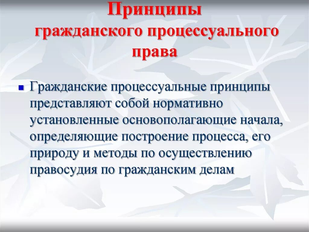 Процессуальные принципы гражданского процесса