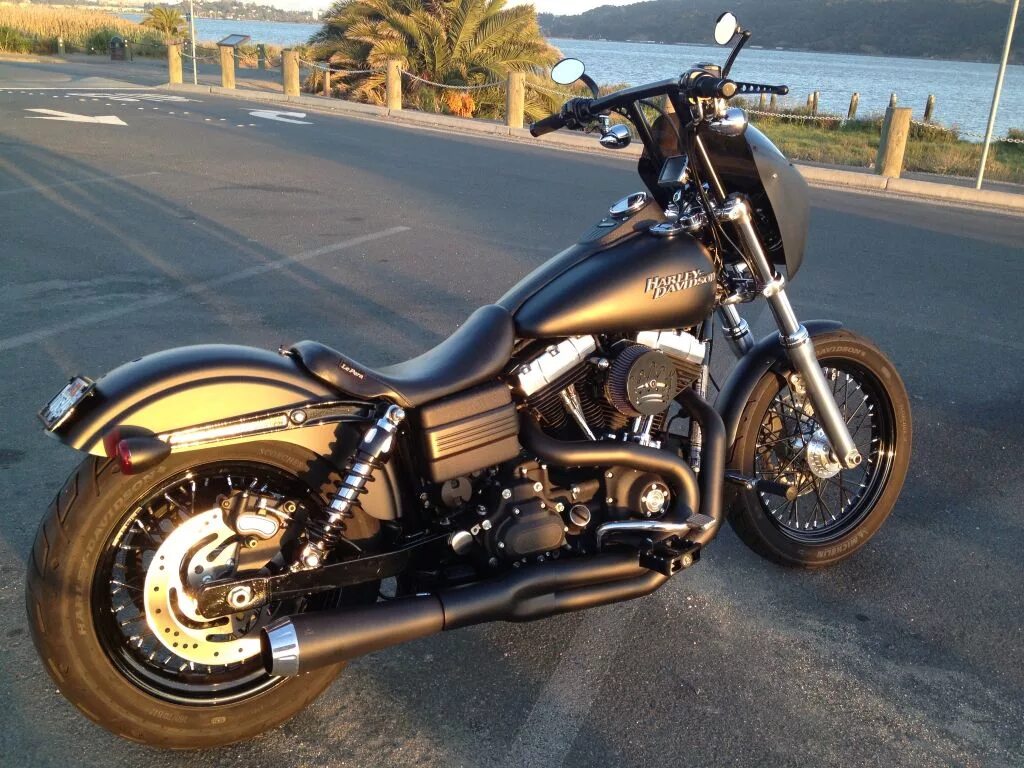 Harley davidson dyna super glide sport. Harley davidson dyna glide custom. harley davidson dyna glide. харлей дэвидсон dyna super glide sport. dyna super glide custom.