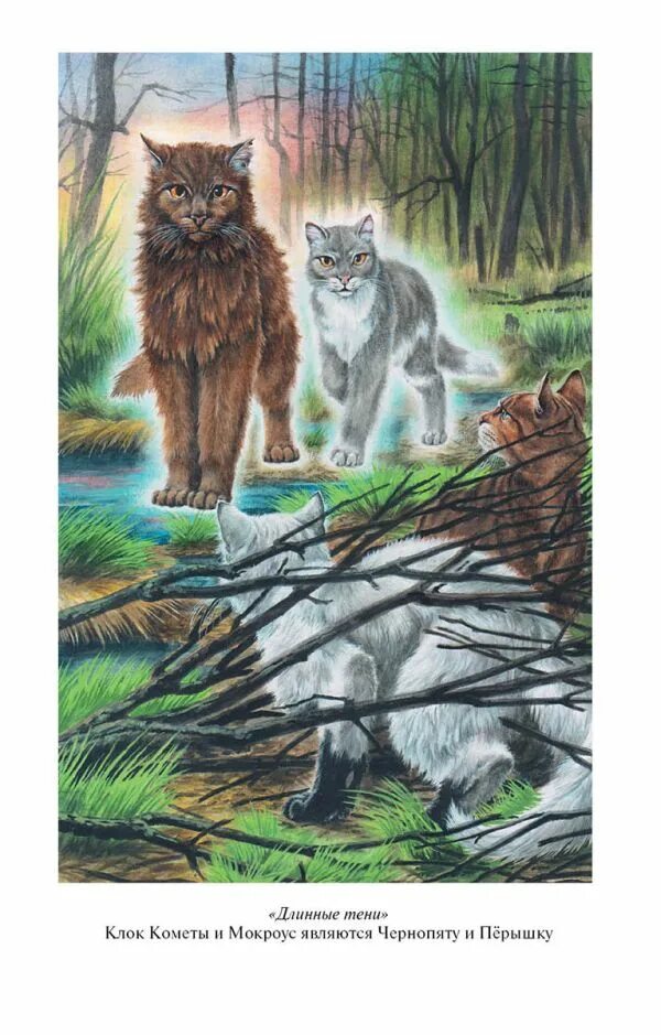 Коты воители длинная тень арт. Длинные тени коты. Цикл «сила трёх» эрин хантер книга. Коты воители рассвет золотая коллекция. Коты воители книга длинные тени.