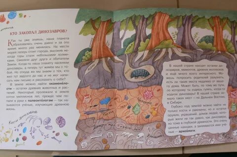 Жизнь на земле читать
