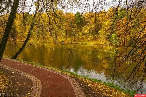 Красивые осенние парки москвы