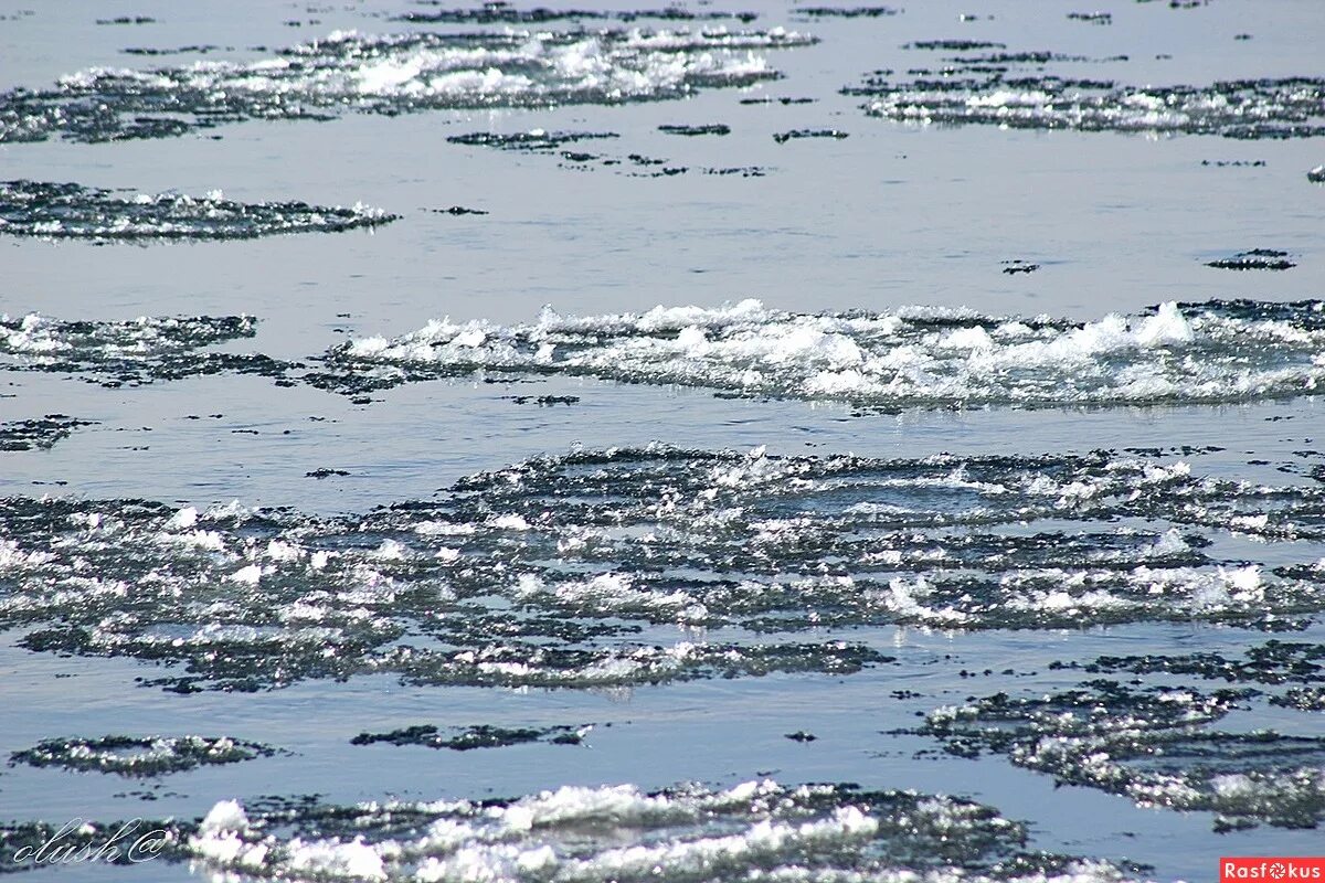 Лед тронулся. Лед тронулся фото. Лед на реке тронулся. Форум лед тронулся