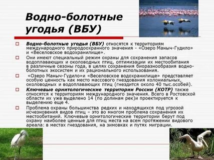 Экосистем ростов