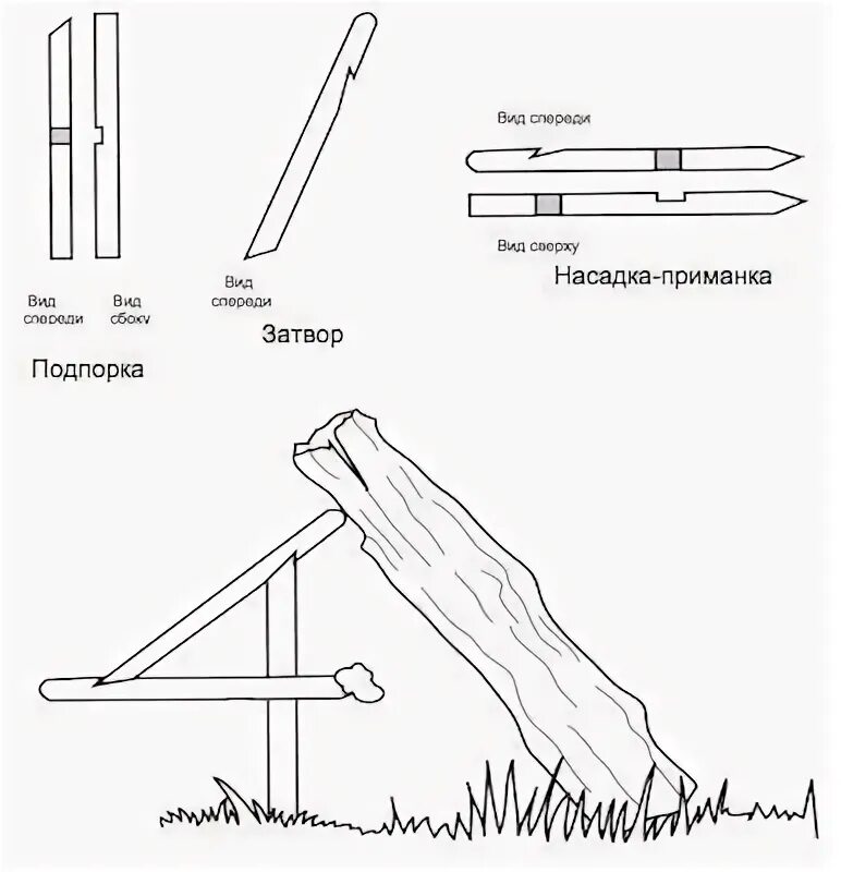 Чертежи ловушки фазана. Схема ловушки на фазана. ЛОВУШКА для фазана пирамида. Ловушки для фазанов своими руками схемы. Чертеж ловушки для птиц