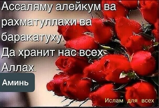 Ассаламу алейкум баракату. АС саляму алейкум РАХМАТУЛЛАХИ ва баракатух. ПУСТЬАЛЛАГЬ хранит вас.