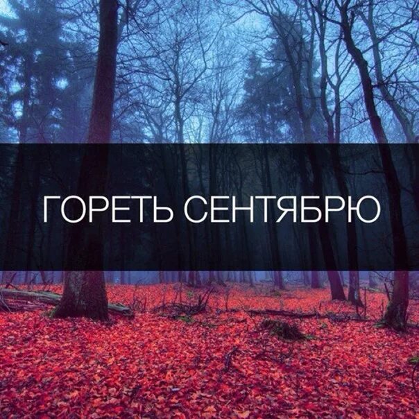 Сентябрь горит убийца плачет. Всадники апокалипсиса прикол. Сентябрь горит мем. Сентябрь сгорел убийца вырос. Сентябрь горит.