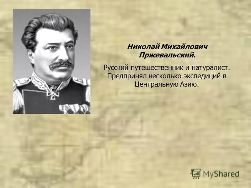 Русский путешественник москва. Великие путешественники афанасий никитин. Семён иванович дежнёв (1605 – 1671). Русский путешественник москва. Русский путешественник москва.