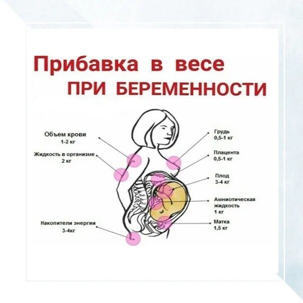 Сколько норма веса при беременности. Нормы прибавки веса при беременности 2 триместр. Норма прибавки веса за 2 недели при беременности. Норма прибавки веса у беременных. Прибавка веса беременна норма.