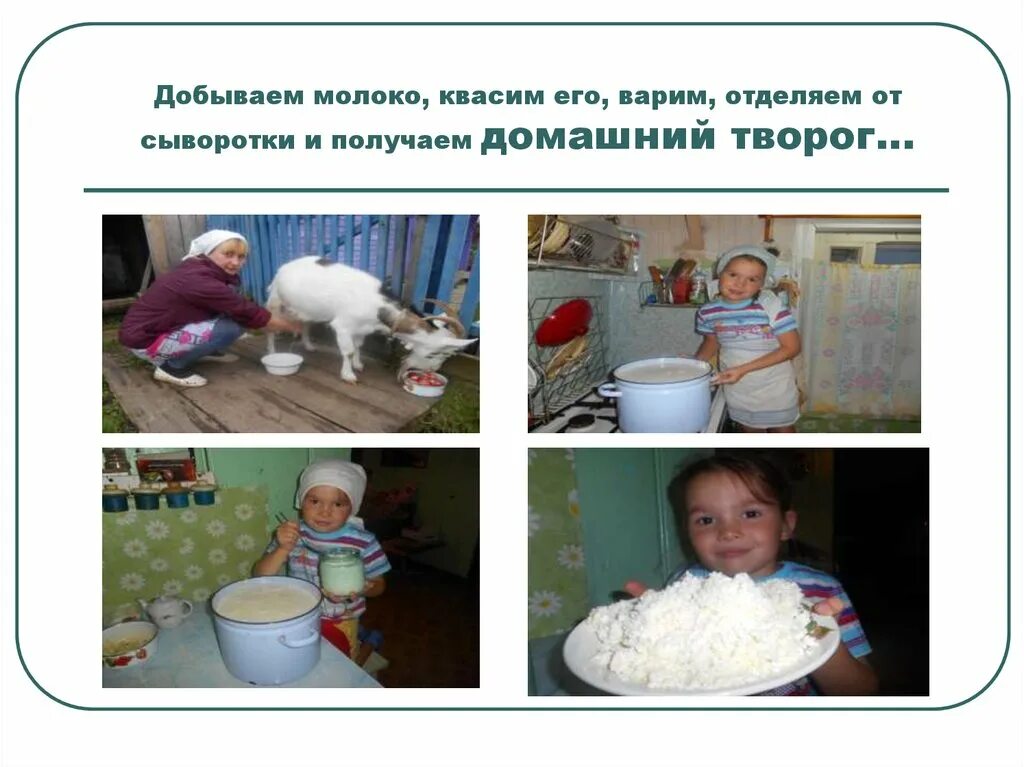 Где добыть молоко. Как добывают молоко. как добывается молоко в промышленности. рисунок как добыть молоко. как добывается молоко в промышленных масштабах.