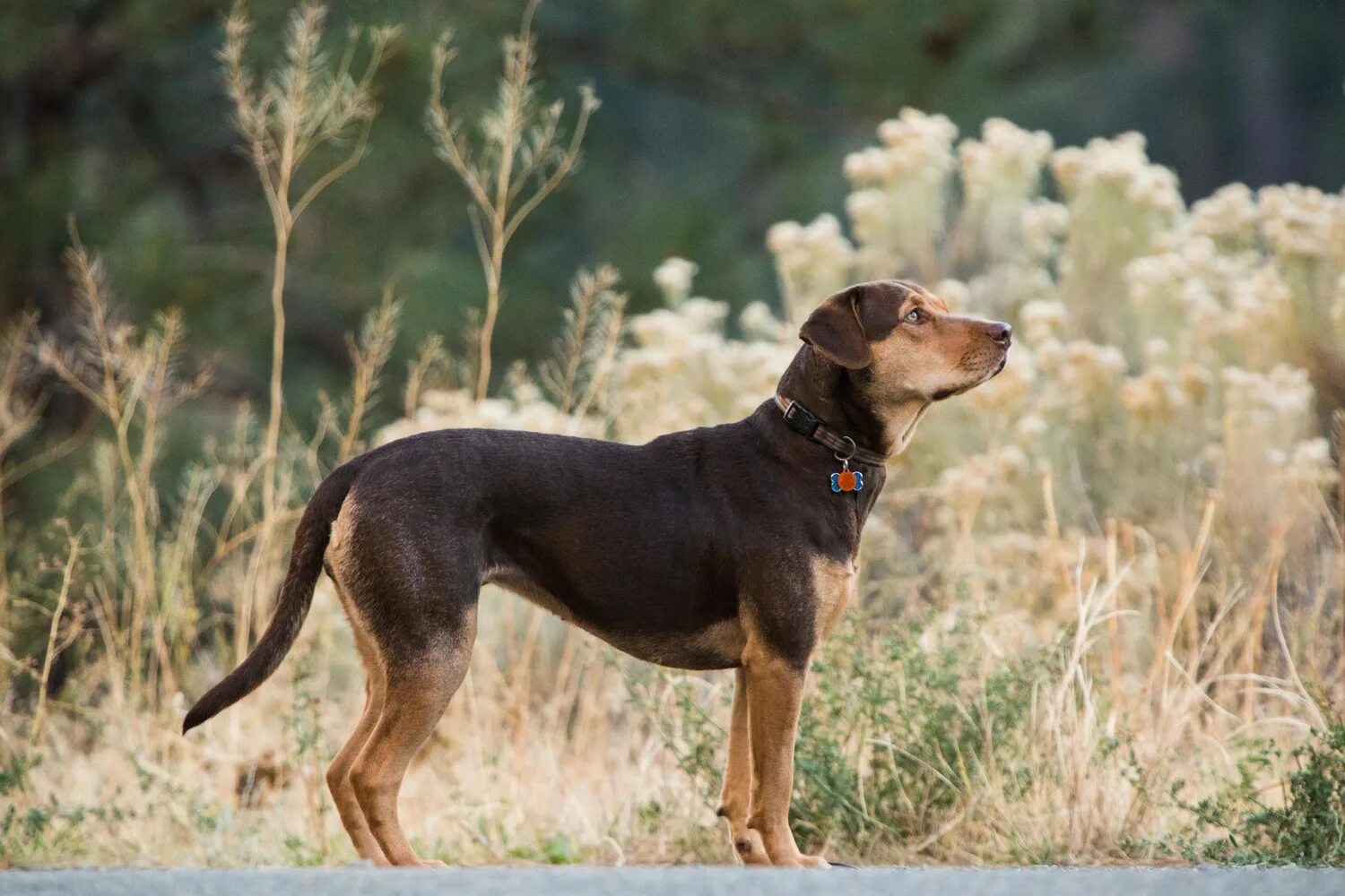 дорога домой фильм 2019. путь домой сюжет. дорога домой фильм 2019. путь домой сюжет. дорога домой фильм 2019.