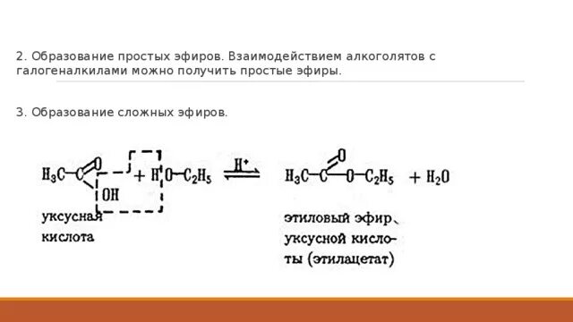 Образование простого эфира из этанола. Этанол образование простых эфиров. Образование простых и сложных эфиров из спиртов. Получение простых эфиров. Сложный эфир образуется при взаимодействии этанола с